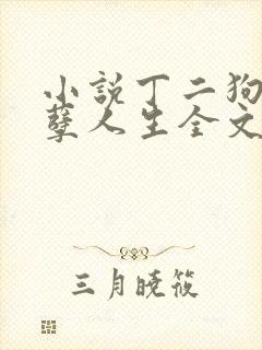 小说丁二狗的妖孽人生全文