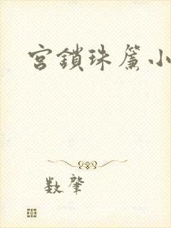宫锁珠帘小说