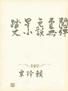 踏星免费阅读全文小说无弹窗