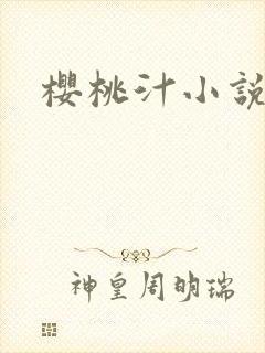 樱桃汁小说