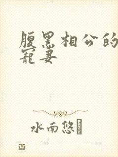 腹黑相公的庶女宠妻