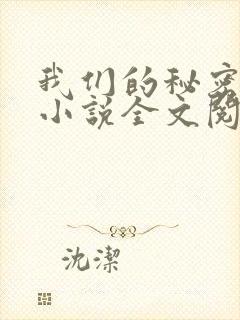 我们的秘密原著小说全文阅读封面