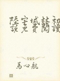 陆宇城林初韵小说免费阅读最新章节