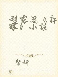 赵露思《许我耀眼》小说