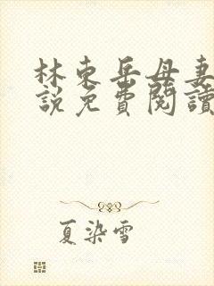 林东岳母妻子小说免费阅读全文