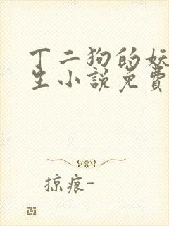 丁二狗的妖孽人生小说免费阅读全文