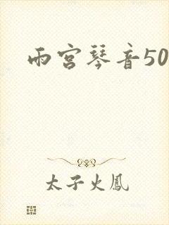 雨宫琴音500封面