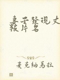 妻子发现丈夫背叛片名