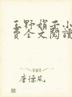 王野娟子小说免费全文阅读封面