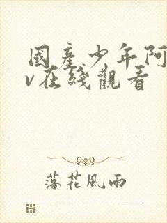 国产少年阿宾av在线观看