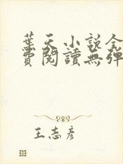 叶天小说全文免费阅读无弹窗封面
