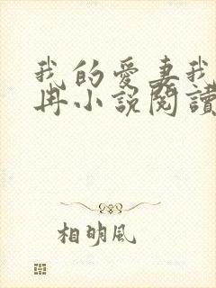 我的爱妻我父小冉小说阅读