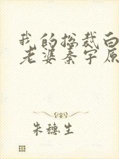 我的总裁白富美老婆秦宇原著小说封面
