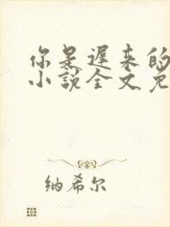 你是迟来的喜欢小说全文免费阅读
