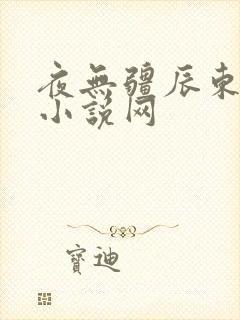夜无疆辰东顶点小说网