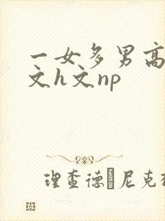 一女多男高辣h文h文np封面