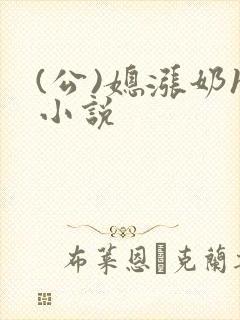 (公)媳涨奶h小说封面
