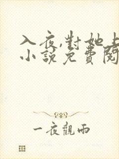 入夜,对她上瘾小说免费阅读第八十八章