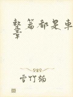 整篇都是车的文章