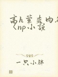 高h荤爽肉欲文〈np小说封面