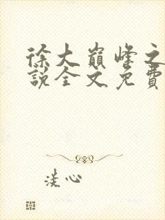 徐大巅峰之路小说全文免费阅读