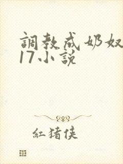 调教成奶奴1～17小说封面