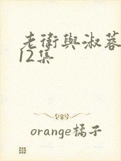 老卫与淑蓉1一12集