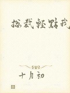 总裁轻点我怕疼封面