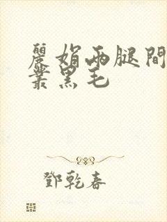 丽娟两腿间一大丛黑毛封面
