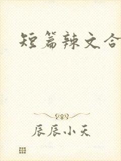 短篇辣文合集h封面