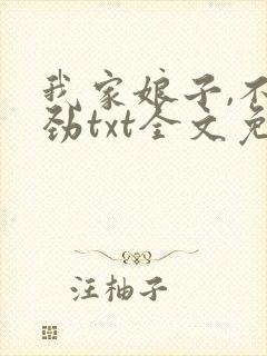 我家娘子,不对劲txt全文免费阅读