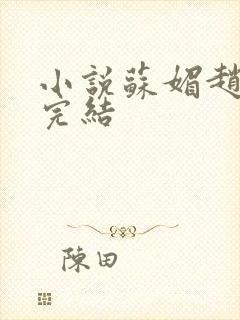 小说苏媚赵春城完结封面