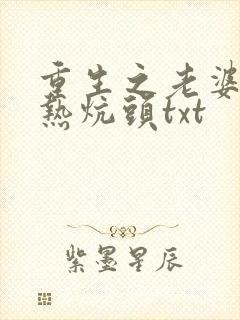 重生之老婆孩子热炕头txt封面