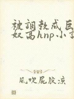 被调教成巨乳奶奴高hnp小说