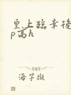 皇上临幸后宫np高h