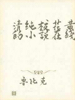 清纯校花黄小婷的小说在线阅读