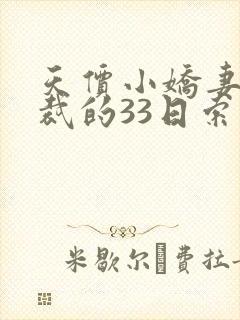 天价小娇妻,总裁的33日索情全文免费封面