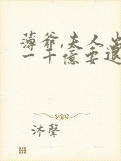 薄爷,夫人出价一千亿要退婚全文阅读免费