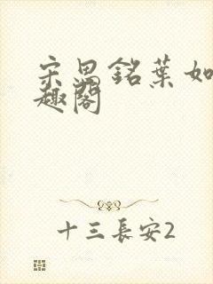 宋思铭叶如云笔趣阁