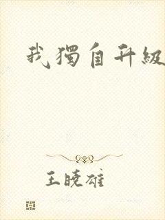 我独自升级小说
