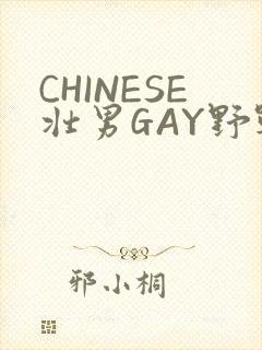 CHINESE壮男GAY野战强迫TUBE