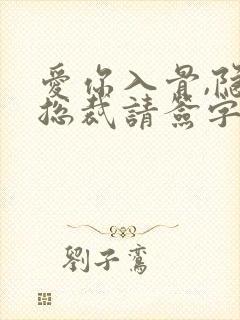 爱你入骨,隐婚总裁请签字完整版