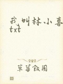 我叫林小喜小说txt