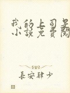 我的上司是女王小说免费阅读封面