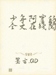 少年阿宾的故事全文在线阅读免费