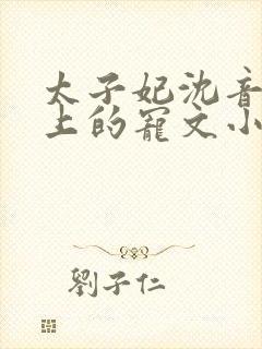 太子妃沈音和皇上的宠文小说