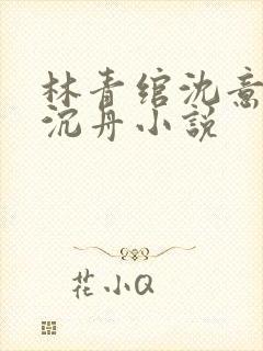 林青绾沈意欢陆沉舟小说
