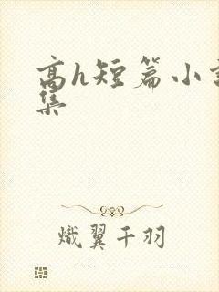 高h短篇小说合集封面