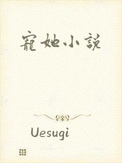 宠她小说