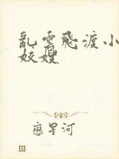 乱云飞渡小说之姣嫂